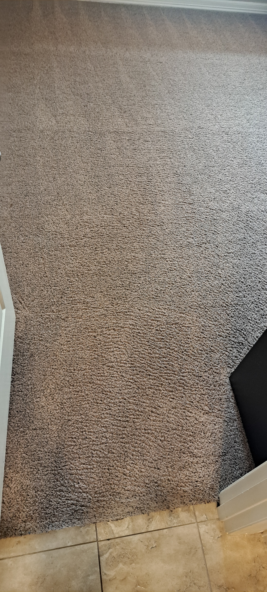 Bedroom carpet after cleaning