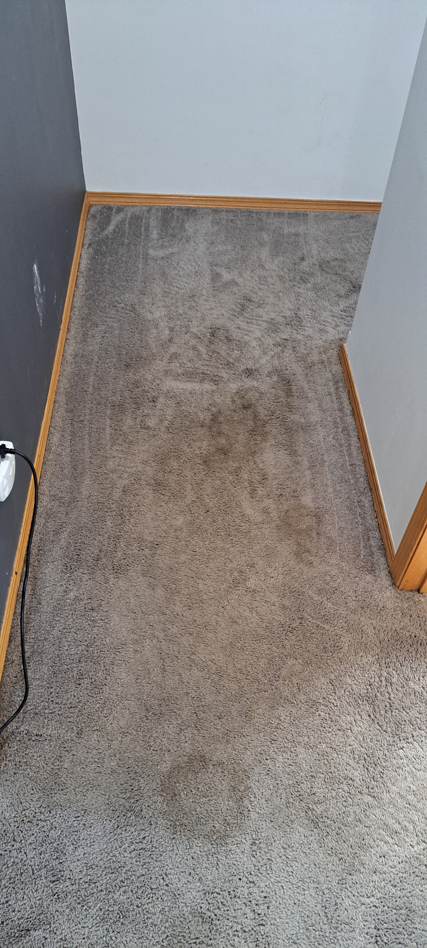 Hallway & stairs before cleaning