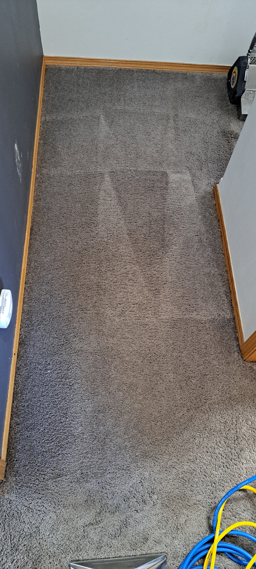 Hallway & stairs after cleaning