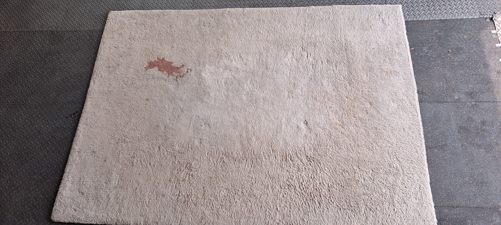 Area rug before cleaning