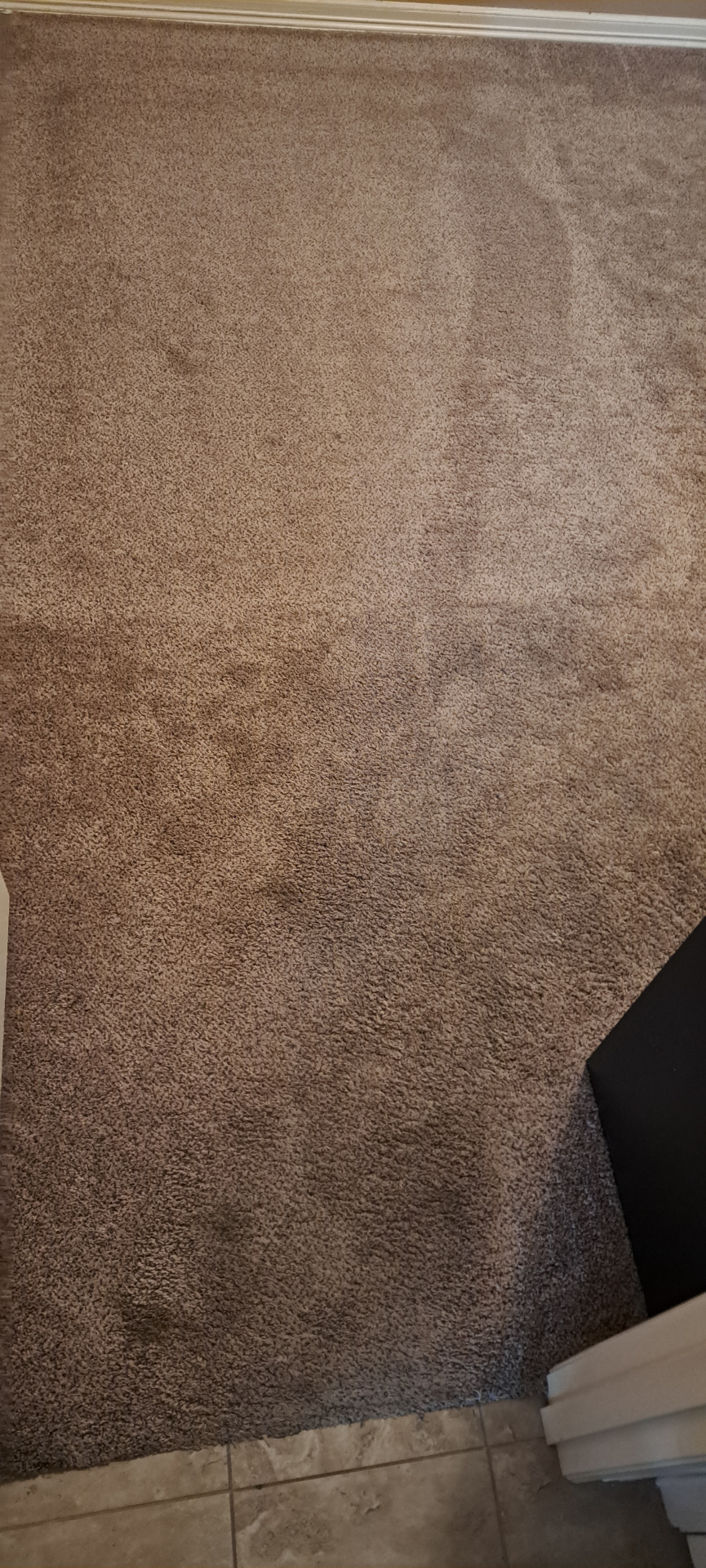 Bedroom carpet before cleaning
